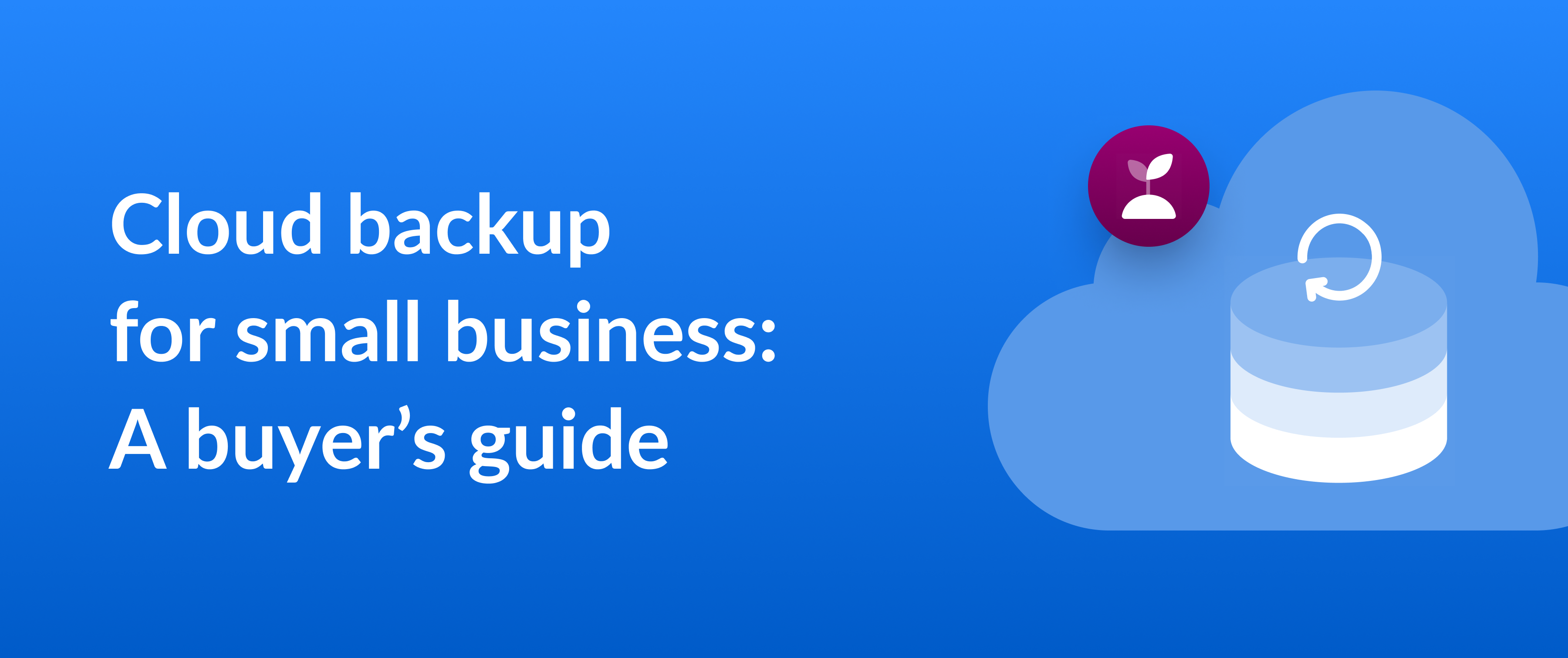 Cover image for a blog on cloud backup for small business